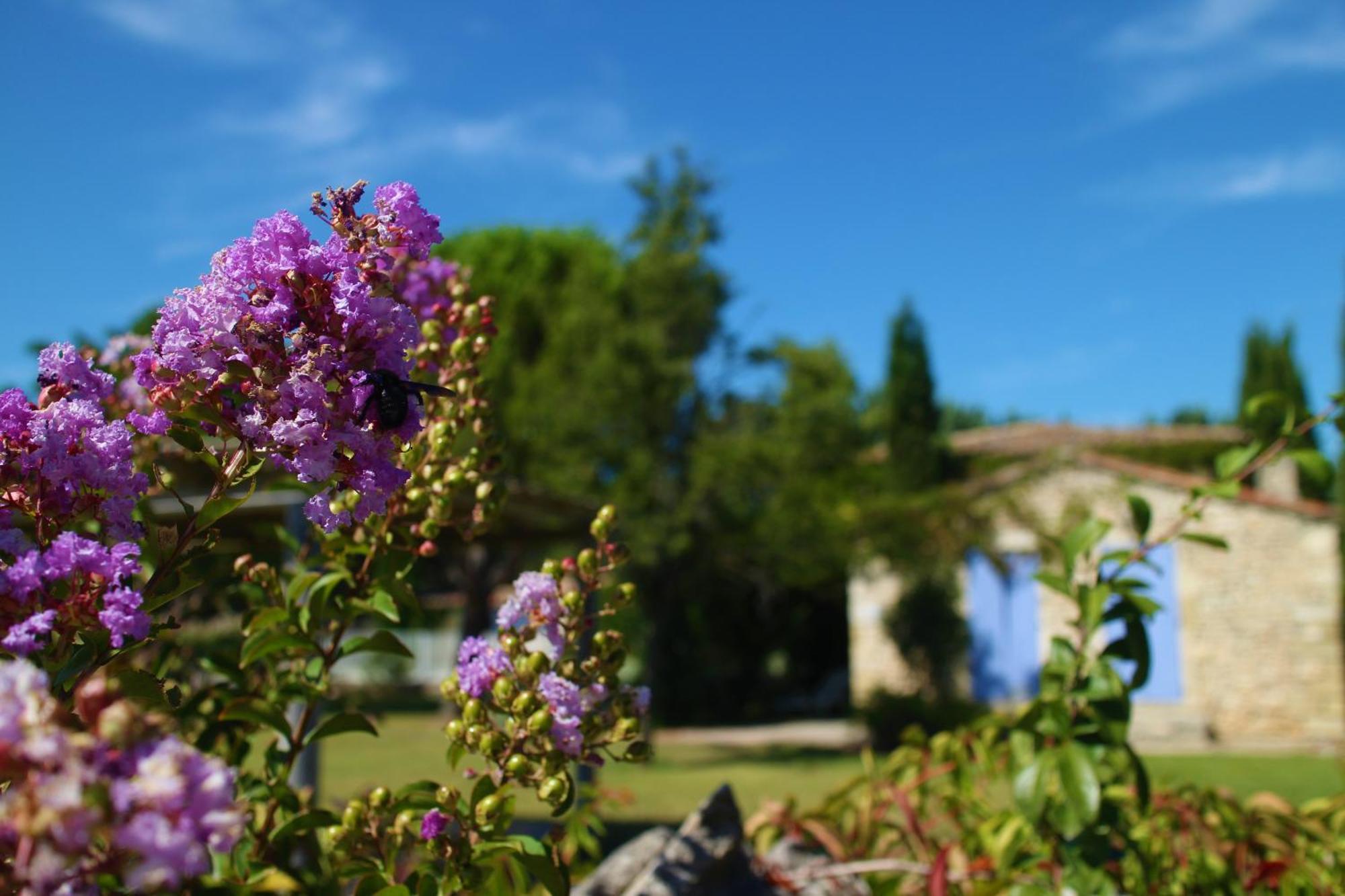 Mas Orea Gordes Εξωτερικό φωτογραφία